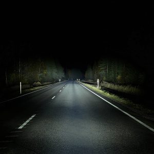 SAVAGE 20 — изображение 3