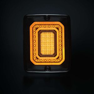 FOR9T ILLUSION INDICATOR LIGHT — изображение 8
