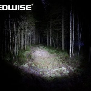 Torch (Saint) — изображение 8