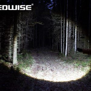 Torch (Rogue) — изображение 8