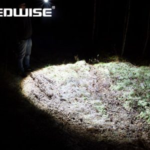 Torch (Rogue) — изображение 3