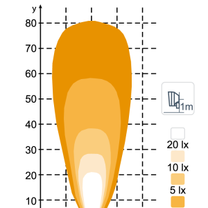 PICTOR N7301 - Flood DS — изображение 2